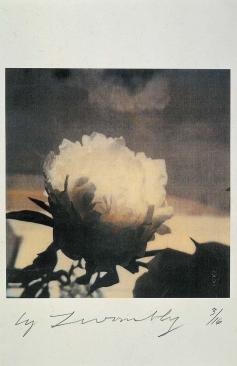 cy-twombly-photographs-1.jpg